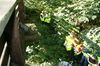gal/Ville_Propre/_thb_OPERATION DECHETS LAMBRES 084.JPG